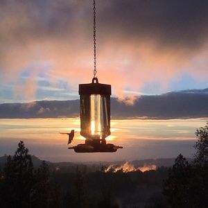 Meet your Posher, Posh